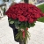 Букет из 101 красной розы (90 см) в Краснознаменске