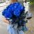 15 синих LUX роз Эквадор (70 см) в Краснознаменске