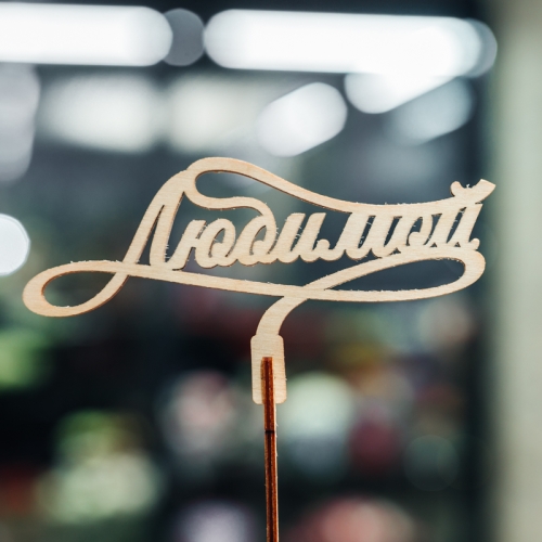 Топпер Любимой в Краснознаменске