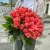 Букет 51 роза коралл (60 см) в Краснознаменске