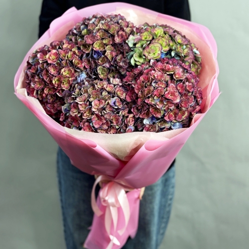 Букет из 5 космических Голландских гортензий в Краснознаменске