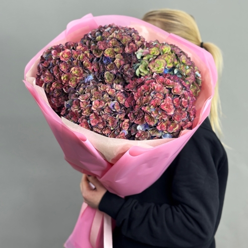 Букет из 5 космических Голландских гортензий в Краснознаменске