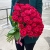 51 малиновая тепличная роза Шангрила (70 см) в Краснознаменске